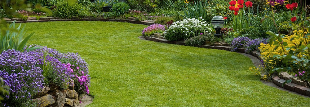 Gepflegter Rasen mit Blumenbeeten